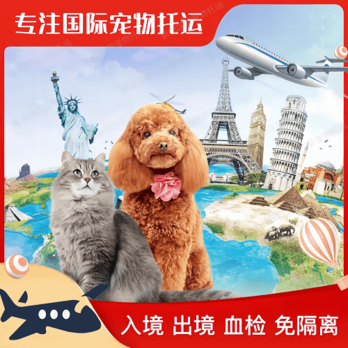 聊城市宠物托运到美国宠物入境最新规定和要求