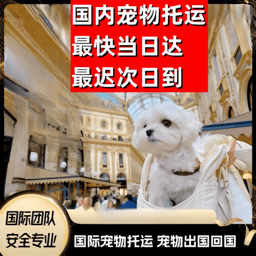 聊城市到澳大利亚（澳洲）宠物入境规定和要求